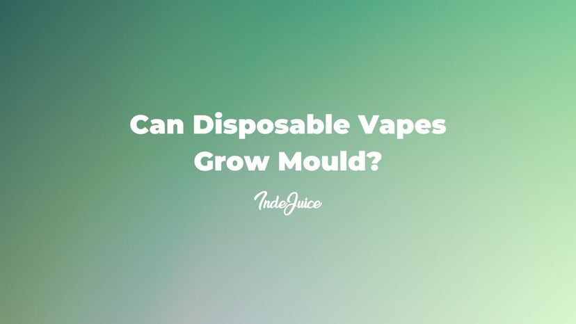 Can Disposable Vapes Grow Mould?