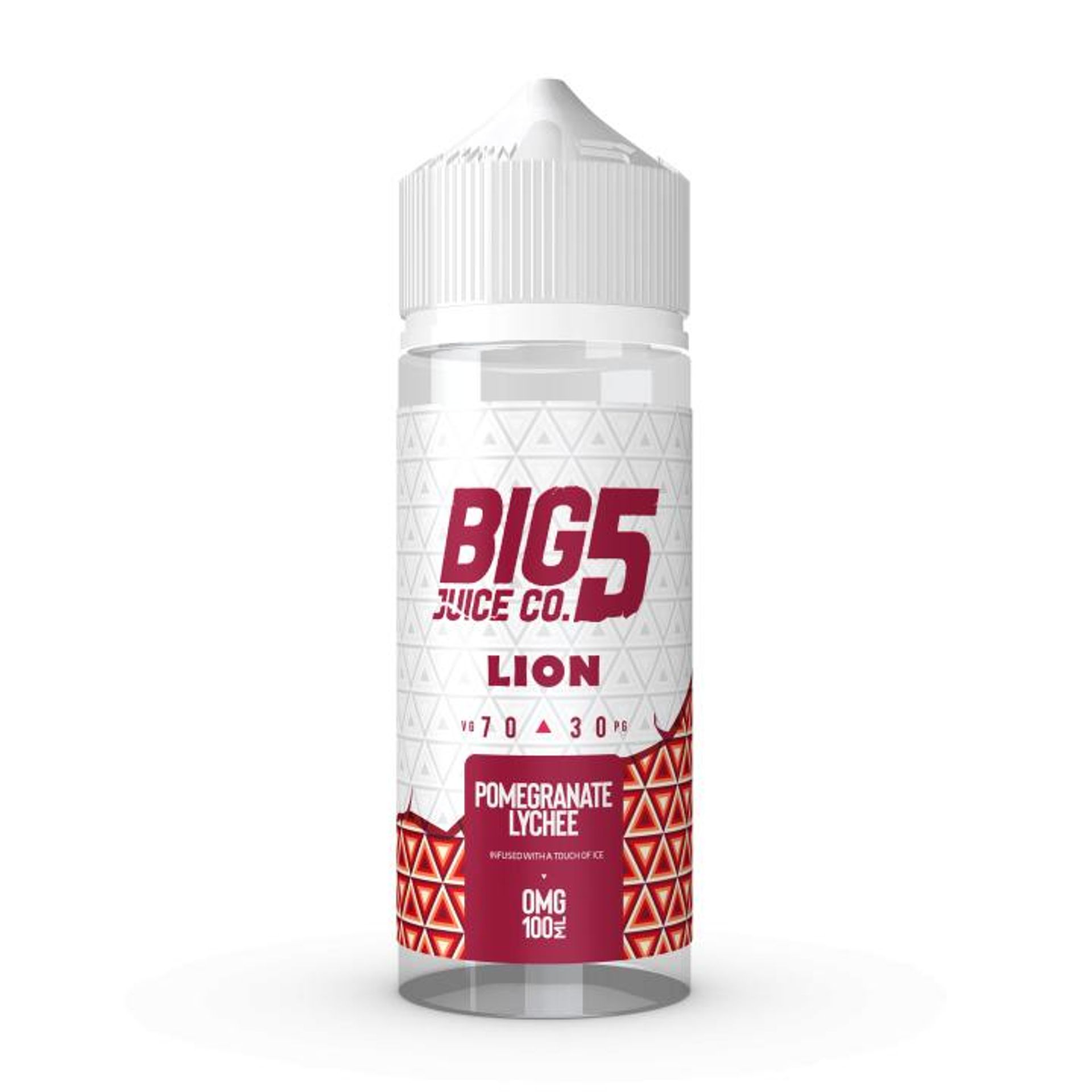 Image of Lion by Big 5