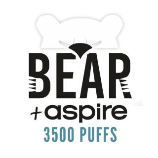 Bear Aspire R1 Logo