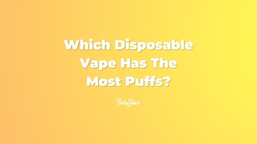 Which Disposable Vape Has The Most Puffs?