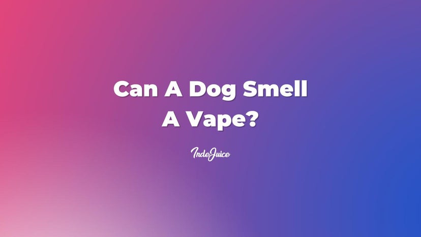 Can A Dog Smell A Vape?