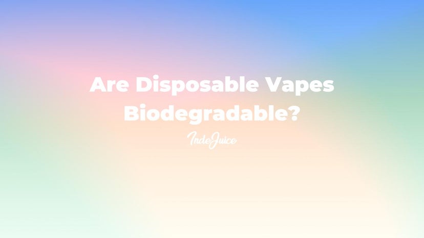 Are Disposable Vapes Biodegradable?