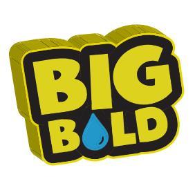 Big Bold Logo