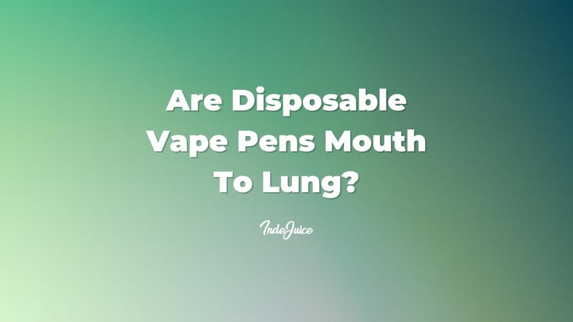 Are Disposable Vape Pens Mouth To Lung?