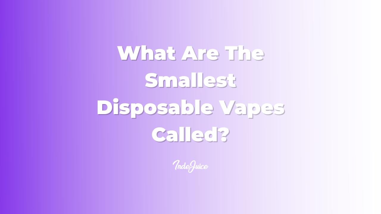 What Are The Smallest Disposable Vapes Called?