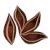 Aniseed flavour icon