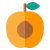 Apricot flavour icon