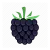 Blackberry flavour icon