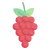 Grape flavour icon
