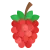 Raspberry flavour icon